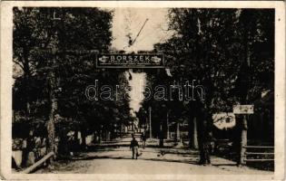 1941 Borszék, Borsec; Villasor, Fürdő és borvíz üzlet, Szekér forgalom tilos tábla / villa alley