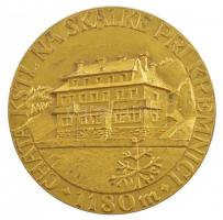 Szlovákia DN Skalke üdülőház Körmöcbányán egyoldalas aranyozott Br emlékérme (60mm) T:2 kissé kopott aranyozás Slovakia ND Skalke holiday house in Kremnica one-sided, gilt Br commemorative medallion (60mm) C:XF slightly worn gilt