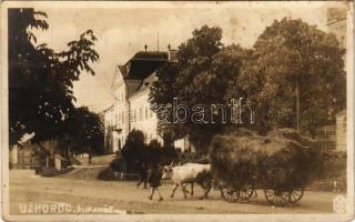1926 Ungvár, Uzshorod, Uzhhorod, Uzhorod; Zupanát / ökörszekér / oxen cart (fl)