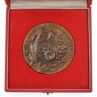 Lajos József (1936-) DN "A szocialista mezőgazdaságért" egyoldalas, öntött Br plakett tokb...