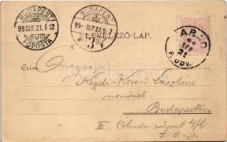 1899 (Vorläufer) Arad, a 13 vértanú kivégeztetésének 50. évfordulója dicső emlékére. Kiadja az Aradi...