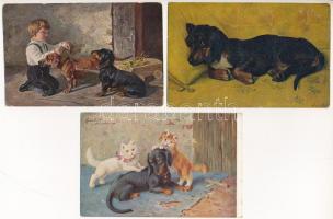 TACSKÓ - 3 db régi kutyás képeslap / DACHSHUND - 3 pre-1945 dog postcards