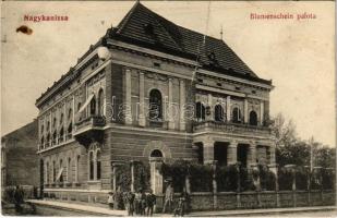 1913 Nagykanizsa, Blumenschein palota. Schwarz és Tauber kiadása (fa)