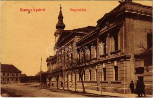 1908 Gyula, Megyeház. W.L. 1572. (EK)