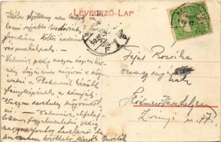 1908 Gyula, Megyeház. W.L. 1572. (EK)