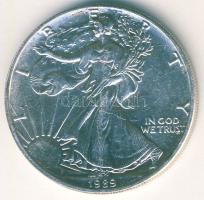 USA 1989. 1$/10Z Ag "Liberty-sas" T:1/2+