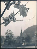 cca 1970 Budapesti ősz, jelzetlen fotó, 24×18 cm