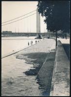 cca 1970 Budapest, Erzsébet híd, jelzetlen fotó, 24×18 cm