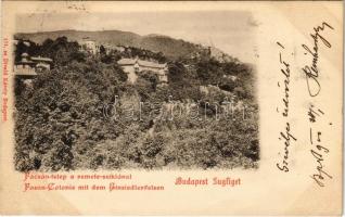 1900 Budapest XII. Zugliget, Fácántelep a Remete-sziklával. Divald Károly 171. sz. (fl)