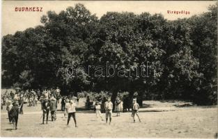 1907 Budakeszi, Virágvölgy, szórakozó családok (EB)
