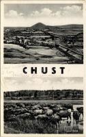 1939 Huszt, Chust, Khust; híd, legelő bivaly csorda. Josef Belza / bridge, water buffalos + M. KIR. POSTA 375