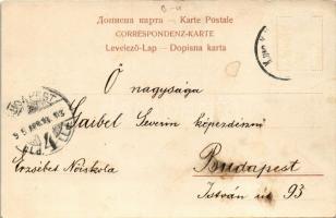 Mostar, Volksfest mit Guslar / Bosnian folklore + "K.und k. Milit. Post Bilek" (Rb)