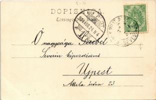 Sarajevo, Türken vor dem Kaffeehause / Turkish cafe shop + "K.und k. Milit. Post Nevesinje"...