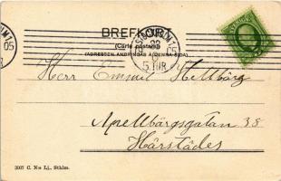 1905 Stockholm, Pultavamonumentet pa Artillerigarden / Poltava Monument