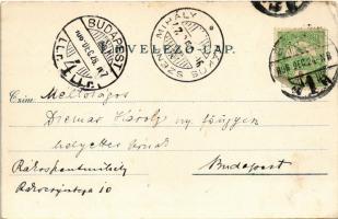 1906 Brassó, Kronstadt, Brasov; Eislauf und Tennisplatz / Korcsolya és teniszpálya. Wilh. Hiemesch /...