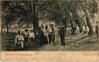 1905 Feredőgyógy, Fürdőgyógy, Algyógyfürdő, Geoagiu-Bai, Feredeu; park (fl)