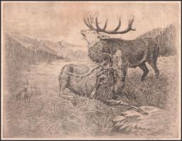 Hollós jelzéssel: Szarvasok. Rézkarc, papír, 18x13 cm