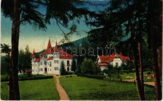 1918 Tátra, Tatry; Rózsavölgy (Virágvölgy), Blumental, Kvetnica; szálloda, nyaraló / hotel, villa