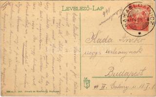 1918 Tátra, Tatry; Rózsavölgy (Virágvölgy), Blumental, Kvetnica; szálloda, nyaraló / hotel, villa