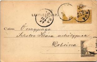 1903 Jolsva, Jelsava (Gömör); Városi fürdő, Czibur-féle kertrészlet. Czibur Emil kiadása / spa, bath...