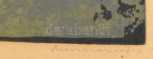 Mészáros Lajos (1925-1971): Sárospatak. Linómetszet, papír, jelzett, üvegezett, kopott fakeretben, 3...