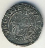 1529. Denár Ag I.Ferdinánd T:3