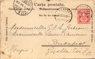 1903 Étrembieres, Chateau d'Etrembrieres / castle (fl)