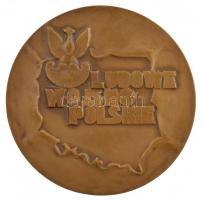 Lengyelország DN "Lengyel Néphadsereg" kétoldalas Br emlékérem. Szign.: St. Sikora (70mm) ...