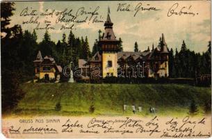 1902 Sinaia, Castelul Peles / castle / Königl. rum. Schloss Pelesch (EM)