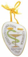 1965. Gyógyszertechnológiai Konferencia Keszthely egyoldalas, jelzett Herendi porcelán emlékplakett műanyag tokban (45x32mm) T:1-