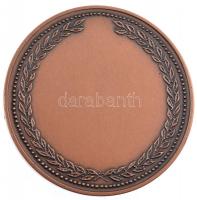 Fritz Mihály (1947) DN "Kristó Gyula-díj" bronz emlékérem (60mm) T:2- karc, ph