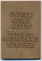 Képíró Zoltán (1944-1981) DN "UNIVERSITAS SCIENTIARUM MEDICINAE SZEGED" kétoldalas Br plak...
