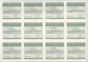 Budapest 1996. "A Virginia Kárpótlási Jegy Hasznosító Részvénytársaság' törzsrészvénye 100...
