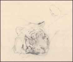 Vastagh Géza (1866-1919): Oroszlánfej (vagy tigrisfej). Ceruza, papír. Jelzés nélkül. Proveniencia: ...