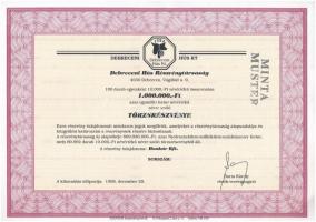 Debrecen 1995. "Debreceni Hús Részvénytársaság" 100db törzsrészvénye összesen 1.000.000Ft-...