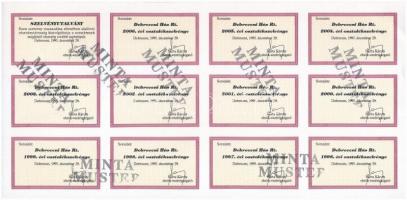 Debrecen 1995. "Debreceni Hús Részvénytársaság" 100db törzsrészvénye összesen 1.000.000Ft-...