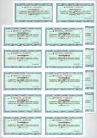 Budapest 1991. "Sasad Termelő és Szolgáltató Szövetkezeti Részvénytársaság" névre szóló ré...