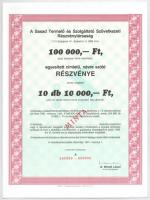 Budapest 1991. "Sasad Termelő és Szolgáltató Szövetkezeti Részvénytársaság" névre szóló ré...