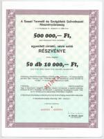Budapest 1991. "Sasad Termelő és Szolgáltató Szövetkezeti Részvénytársaság" névre szóló ré...