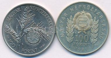 1981. 100Ft Cu-Ni-Zn "Bulgária 1300 éves" magyar kiadás (eredetileg PP) + 100Ft Ni "F...