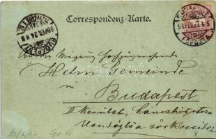 1898 (Vorläufer) Feldkirch, general view