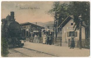 1911 Villach (Kärnten), Seebach bei Villach / railway station, locomotive, train. Verlag H. Krasowski (small tear)