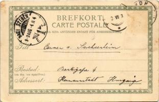 1903 Det inre af en lappkata / Nordic Sami (Laplander) folklore, interior of the hut. K. Holmström (...