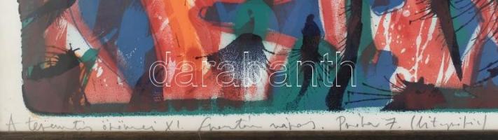 Swierkiewicz Róbert (1942-2019): A teremtés örömei XI., 1993. Litográfia, papír. Jelzett. Próbanyoma...