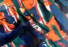 Swierkiewicz Róbert (1942-2019): A teremtés örömei XI., 1993. Litográfia, papír. Jelzett. Próbanyoma...