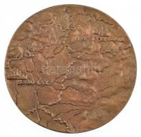 Kutas László (1936-) 1978. "Az Odenburgi Gázvezeték Építéséért 1975-1978) kétoldalas, öntött br...