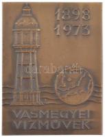 1973. Vas megyei Vízművek egyoldalas bronz plakett (60x80mm) T:1-,2