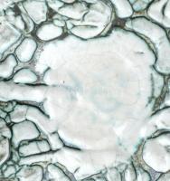 Gorka Iparművészeti Vállalatos kosfejes kínáló, repesztett mázas, jelzett, hibátlan m:17,5 cm