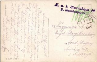 1918 Lady art postcard. B.K.W.I. 691-5. artist signed + "K.u.K. Sturmbaon 18. 2. Sturmkompagnie...