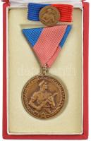1964. "Munkásőr Emlékérem" Br kitüntetés, mellszalagon, miniatűrrel szalagsávon, dísztokba...